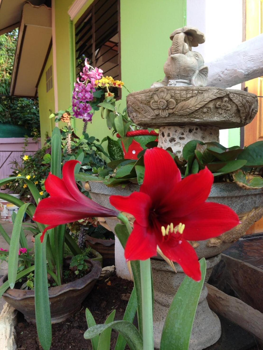 Guest house Tassana House Khao Kho